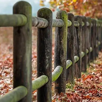 Et sit aut nulla ea quo non numquam.